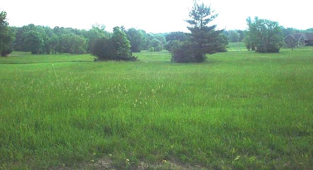 1st image of 1163 Lake Wildwood Dr