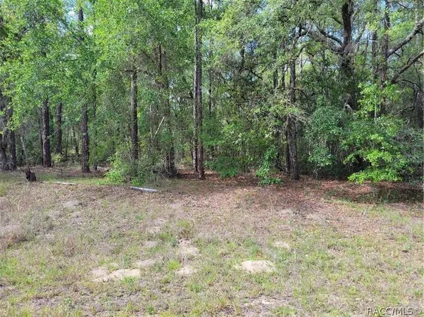 609 E Canturybury Ln Lot 21, Dunnellon, FL 34434