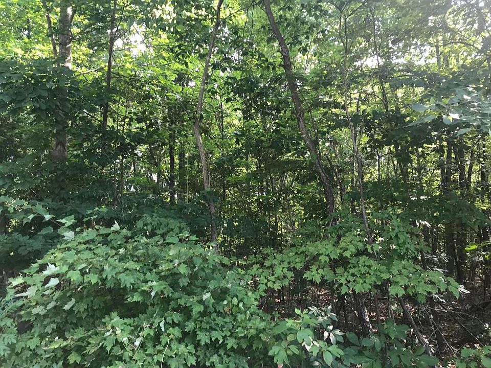2nd image of 1460 Stony Fork Rd