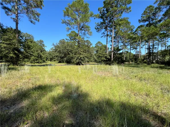 111 Sapelo Park Dr, Townsend, GA 31331