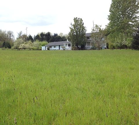 Back field looking southwest