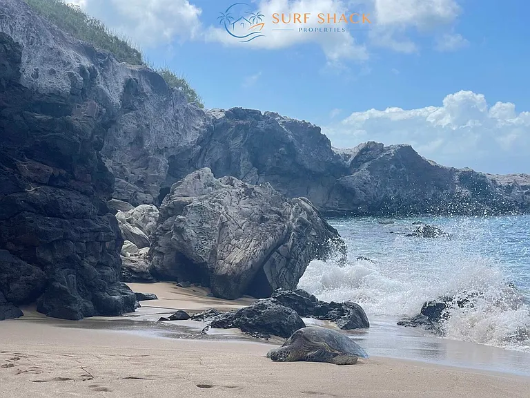 Lower Honoapiilani Rd — Photo 14