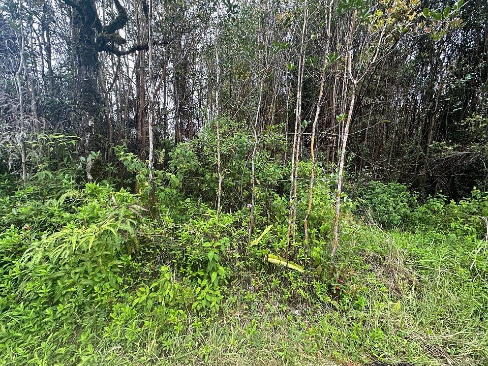 1st image of Plumeria St Lot 6546