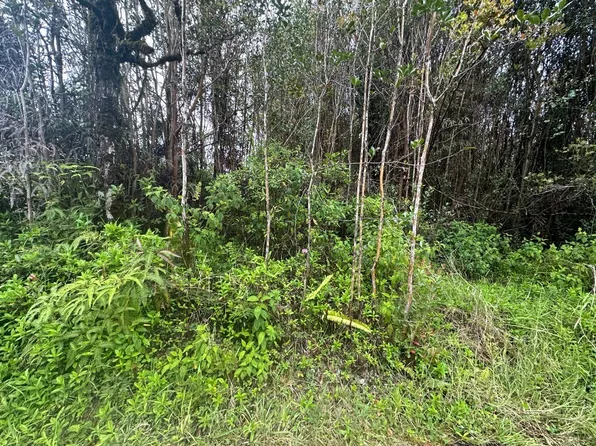 Plumeria St Lot 6546, Mountain View, HI 96771