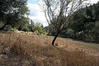 Meadow # 2 :: 5700 Dry Creek Road