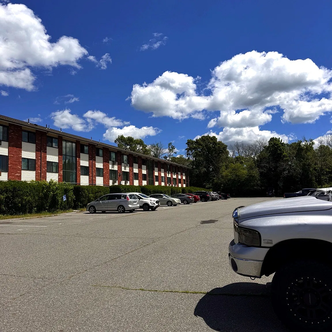 2 bed, 786 sqft, $1,600 — Photo 3
