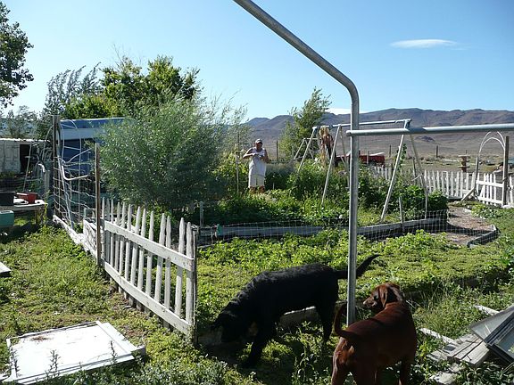 veggie garden