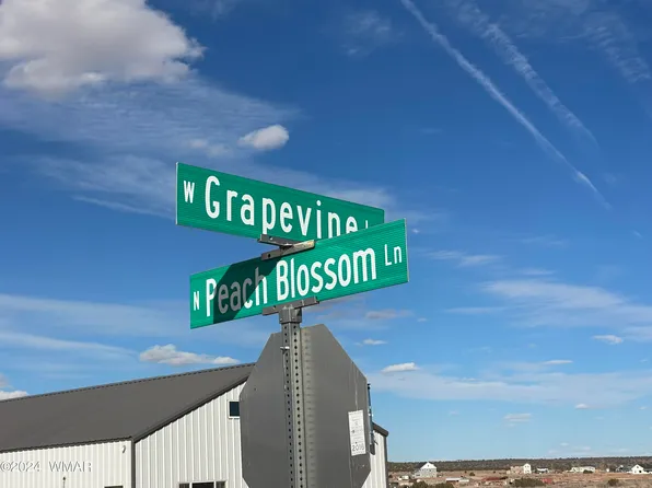 LOT 3C W Grapevine Ln, Snowflake, AZ 85937