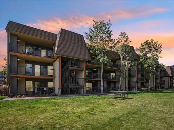1127 9000 Divide Road UNIT 302, Frisco, CO 80443