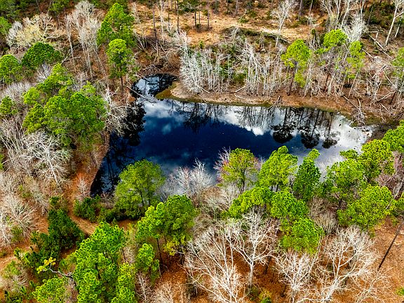 5th image of 0 Cowart Pond Rd