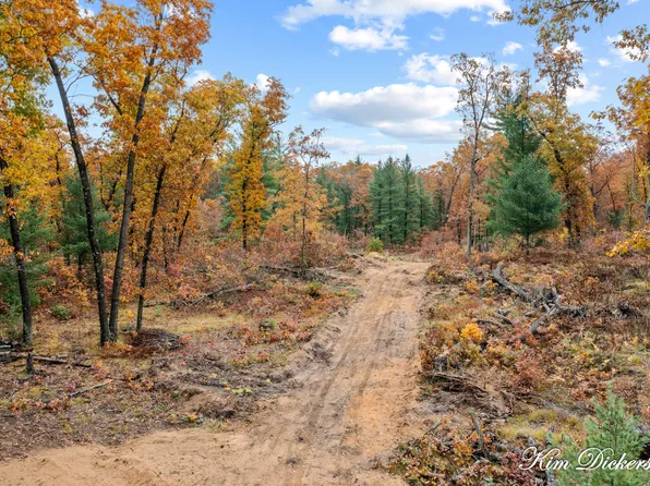 Putnam Rd, Twin Lake, MI 49457