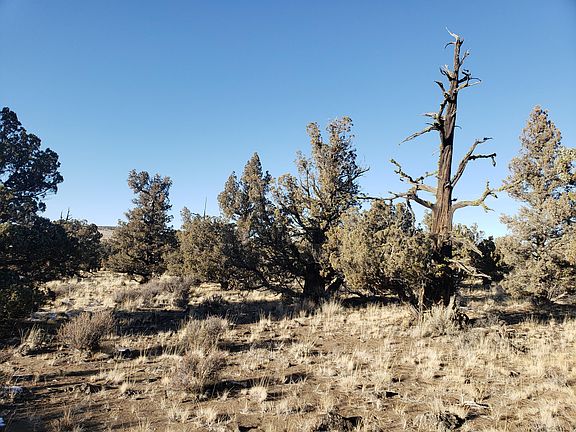 4th image of 1400 Golden View Rnch