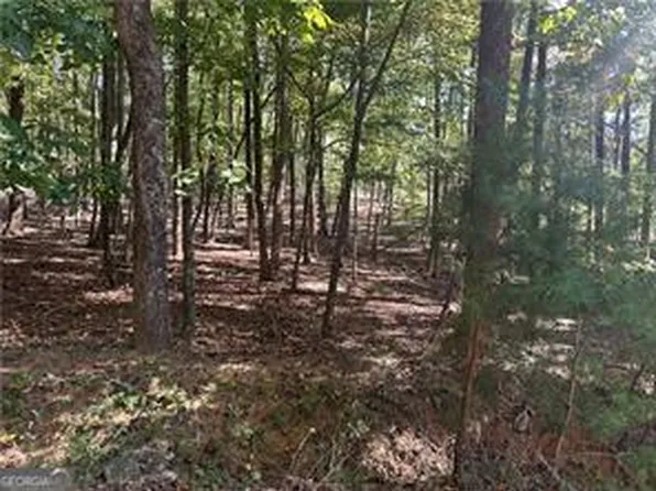 1351 Willow Ter, Jasper, GA 30143