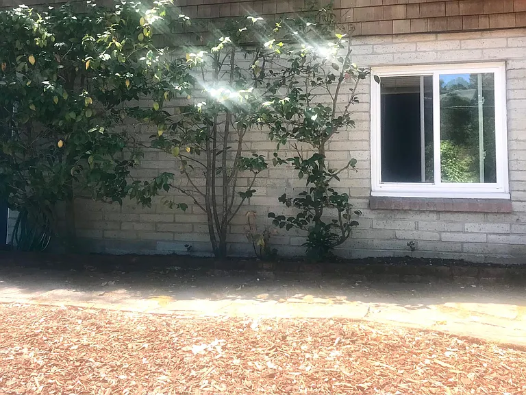 Grove Hill Ave S — Photo 3