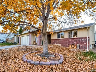 9083 Holland St, Westminster, CO, 80021