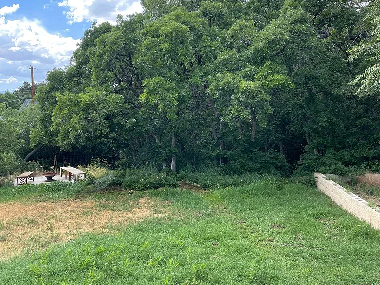 Large oak trees in the backyard provide lots of shade