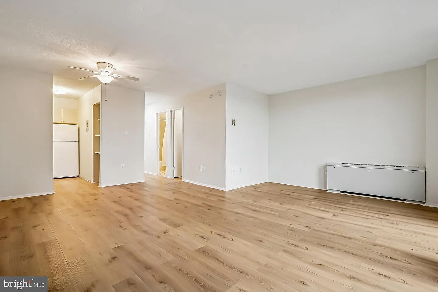 Studio, 1.0 bath, 546 sqft, $1,600 — Photo 2
