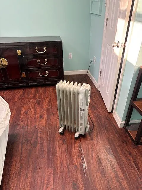 1 bed, $1,000 — Photo 3
