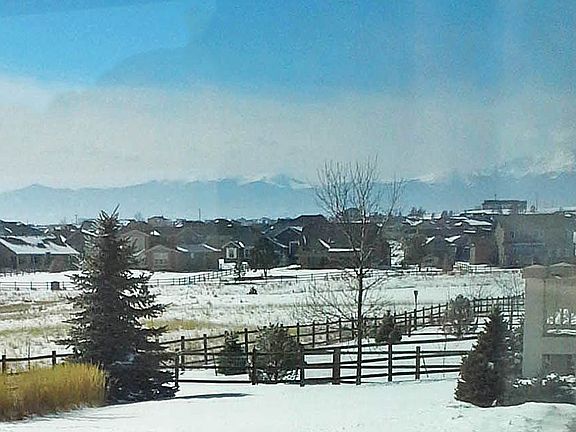 Winter view from backyard