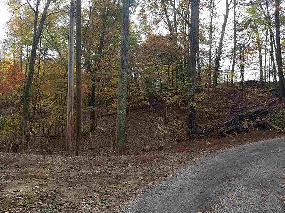 3rd image of Tract 2 Auburn Ln Parcel #54.04