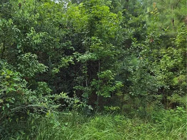 1412 Canal Rd Lot 12, Mobile, AL 36605