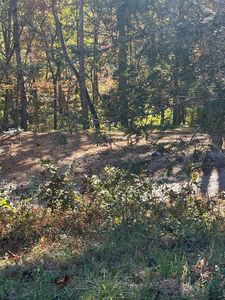 78 Vinings Pointe, Hayesville, NC, 28904
