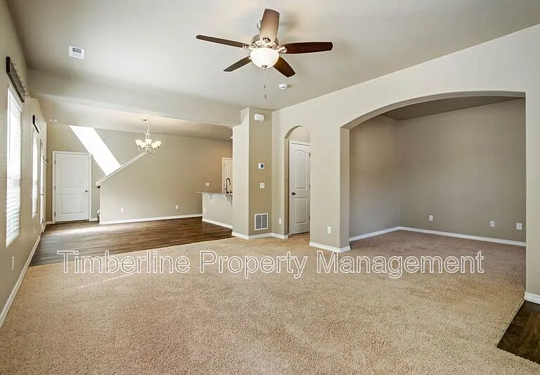 7673 Crestone Peak Trl — Photo 10