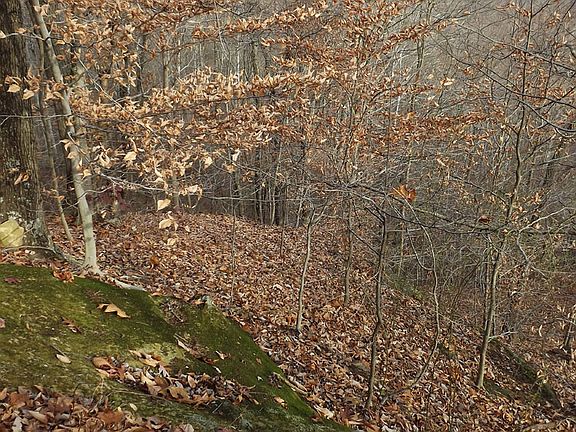 5th image of 0 State Route 144 #2