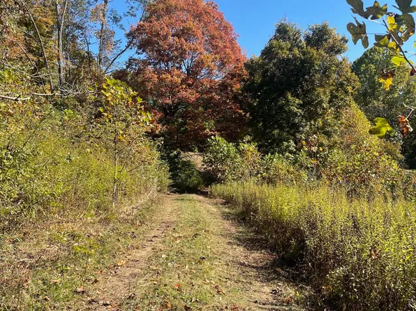 Cornstalk Rd, Crawley, WV 24931