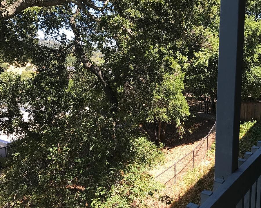 View from balcony