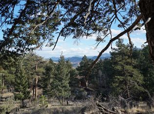 953 Impala Trl, Bailey, CO 80421