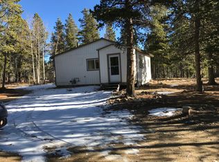 153 Sandau Ln, Black Hawk, CO 80422