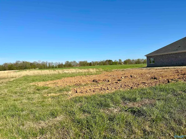 19 Tillman Mill Rd, Elkmont, AL 35620