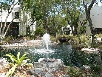 Fountain