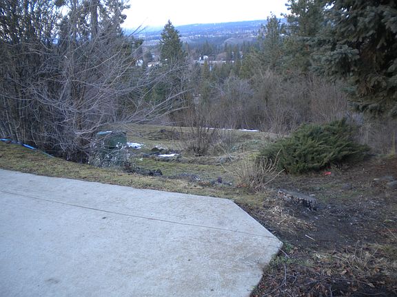 drive way looking down lot