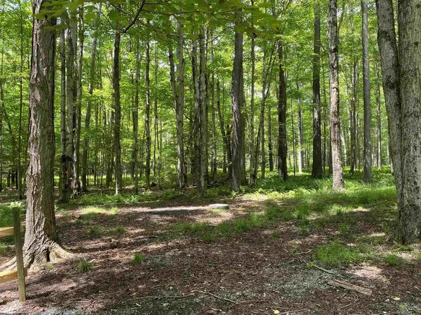 42 Bobcat Rd, Davis, WV 26260