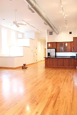 Rented by Level Group | media 11