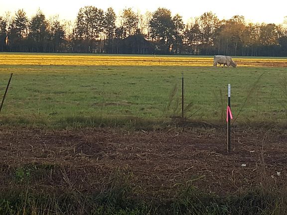 3rd image of Highway 5 Lot 343