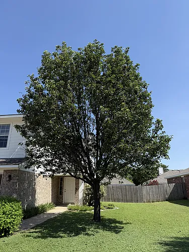 3703 Holden Ct Photo 1