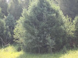 6433 Traverse Rd, Thompsonville, MI 49683