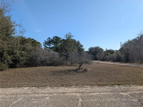 553 E Irene Ln, Citrus Springs, FL 34434