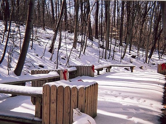 Back Deck