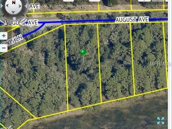 August Ave, Webster, FL 33597