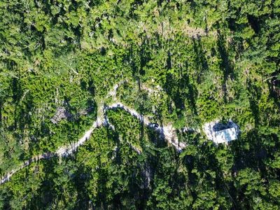 NE 249th Ave, Old Town, FL, 32680