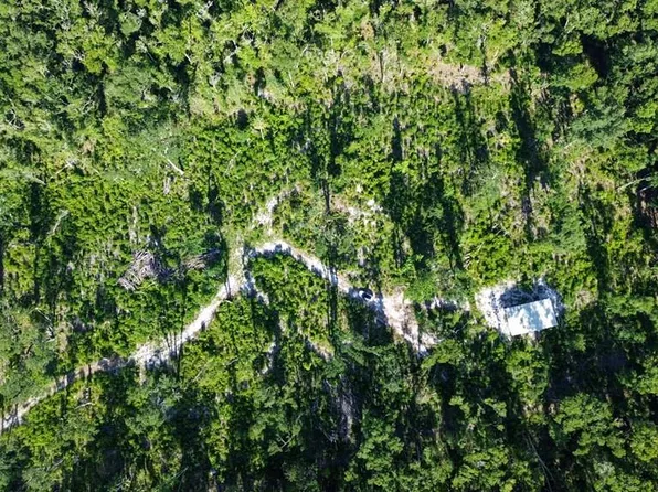  NE 249th Ave, Old Town, FL 32680