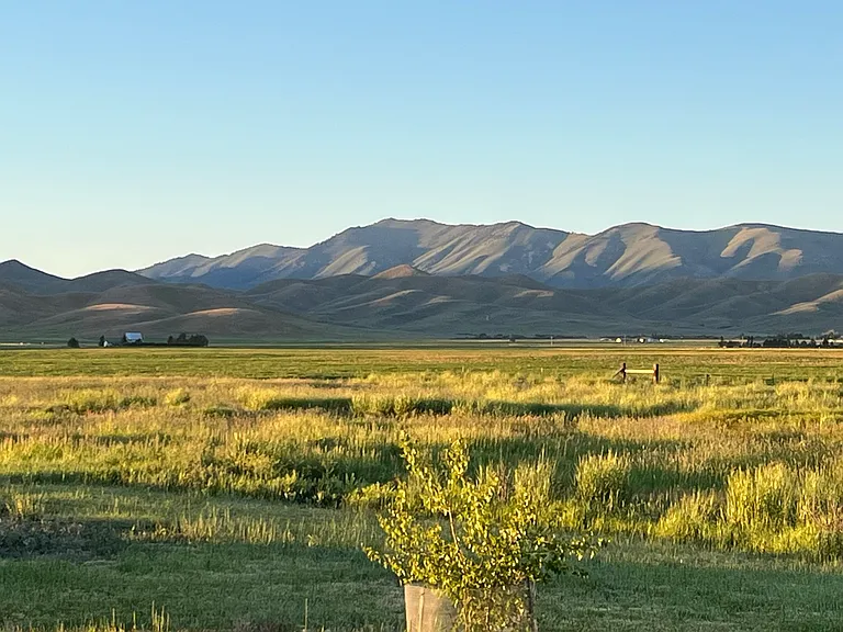The view out your window in the summer.