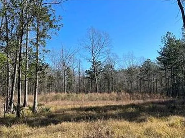 29477 Old Miller Plantation Rd, Livingston, LA 70754