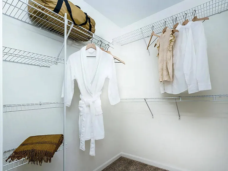 Carpeted Closet Featuring Organized Storage and Clothing Space