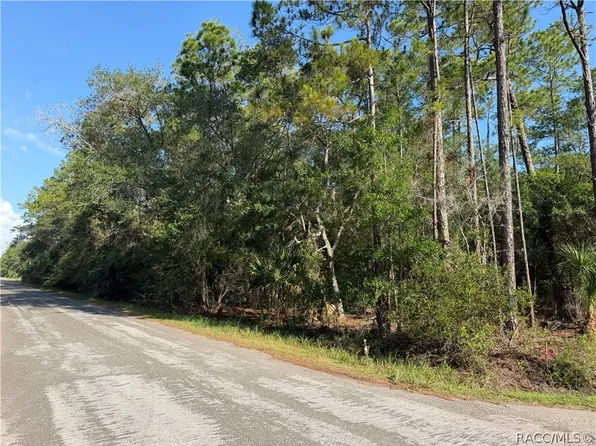 10981 W Acacia Dr, Crystal River, FL 34428