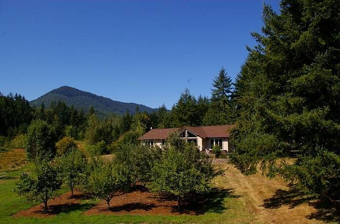 View looking over Orchard